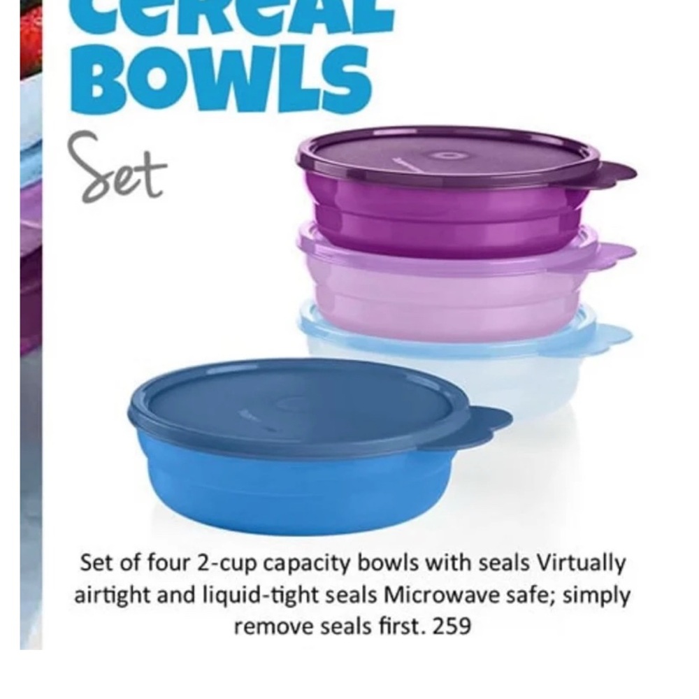 Tupperware Purple and Blue Food Storage Bowls Set